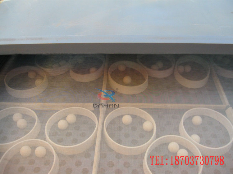 ֱ���Y�֙C������